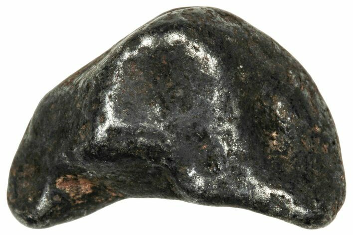 Agoudal Iron Meteorite ( g) - Morocco #303911